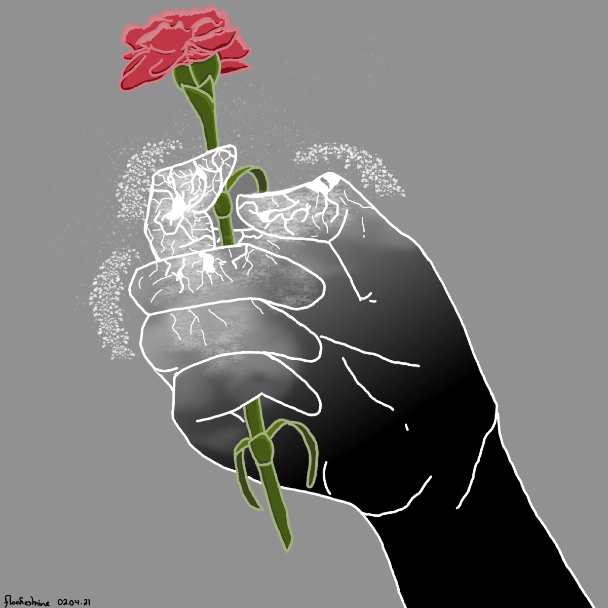 Grayscale hand holding a carnation