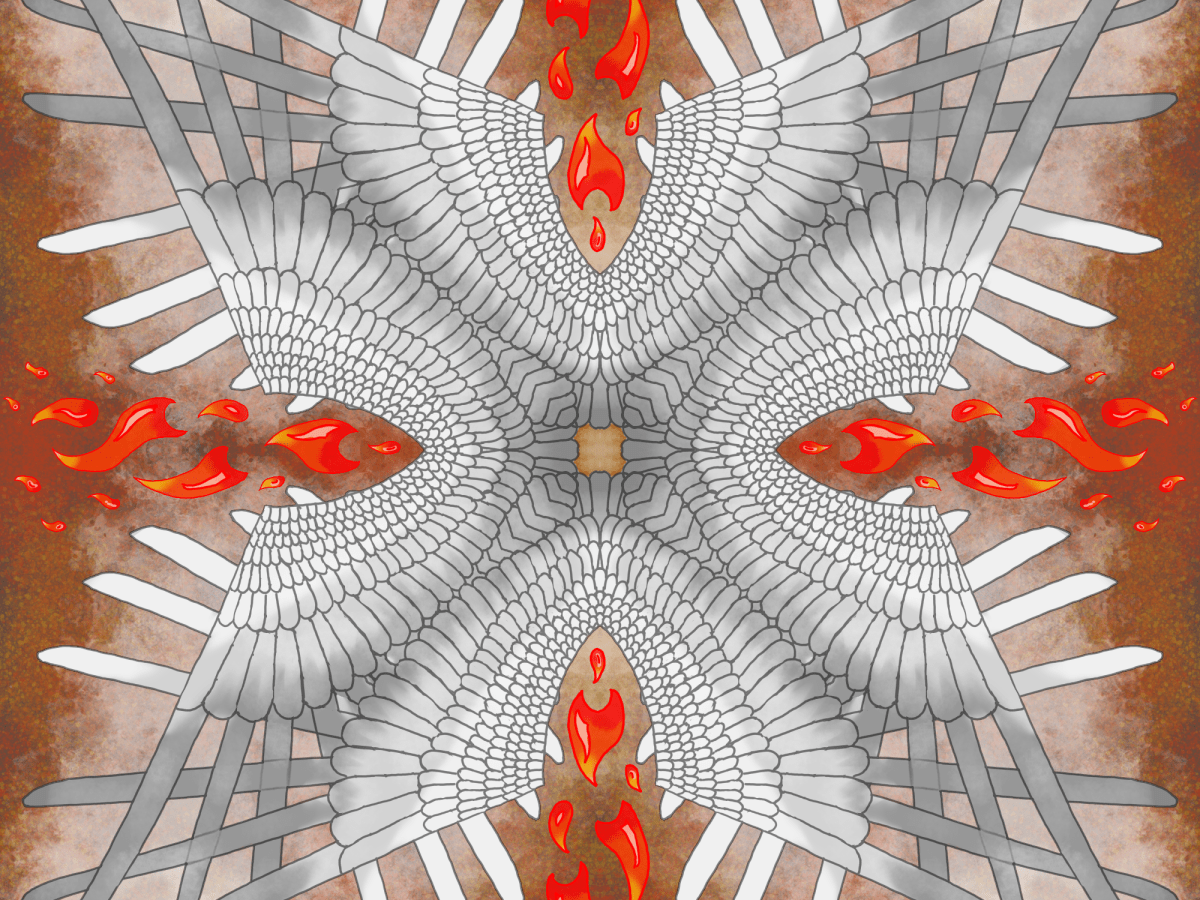 Don’t Go Into the&nbsp;Light