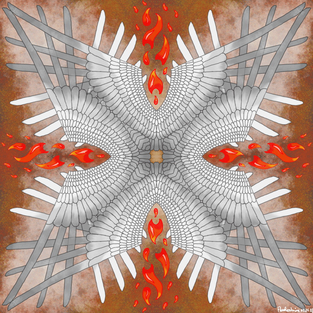 Don’t Go Into the&nbsp;Light