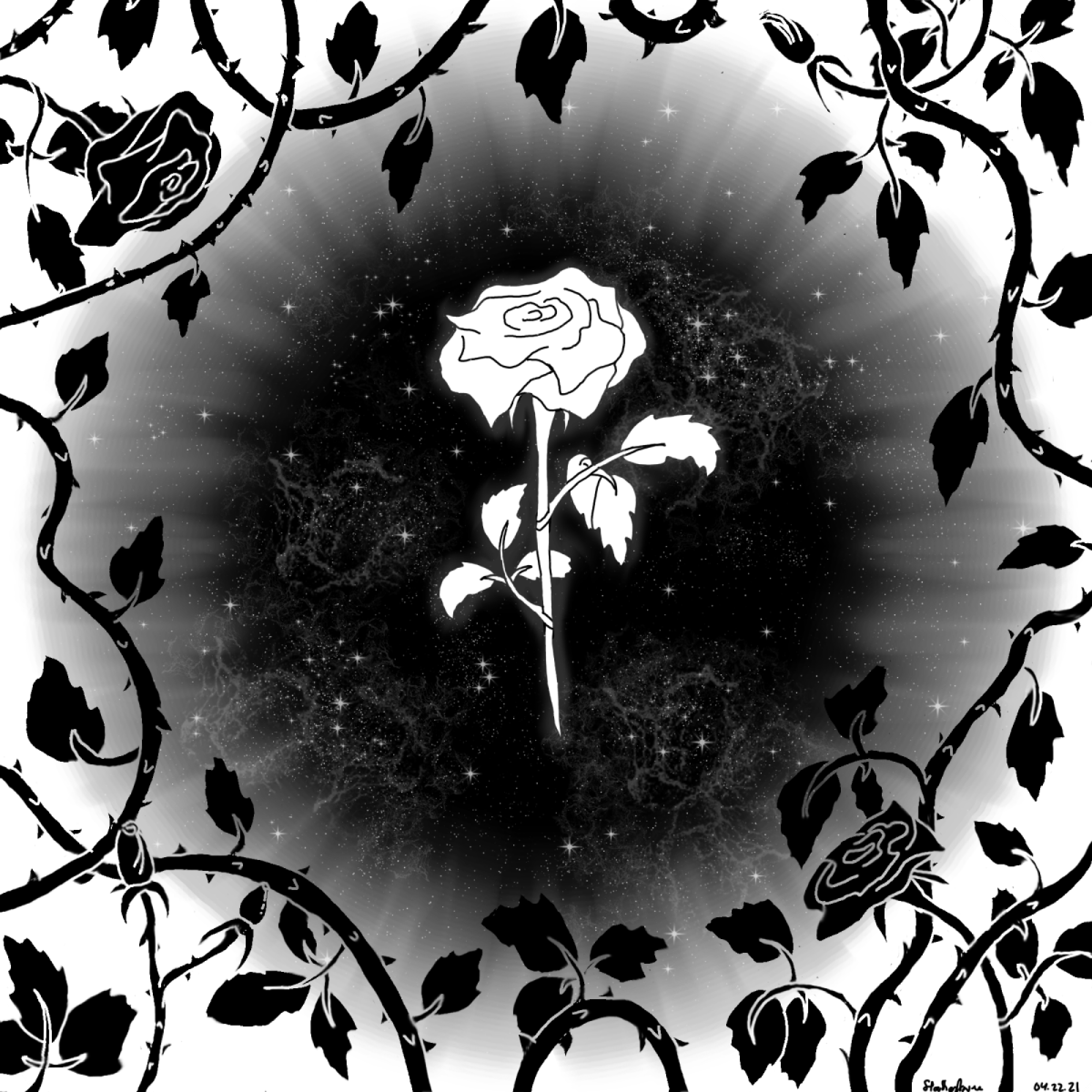 Glowing white rose surrounded by black roses and thorns