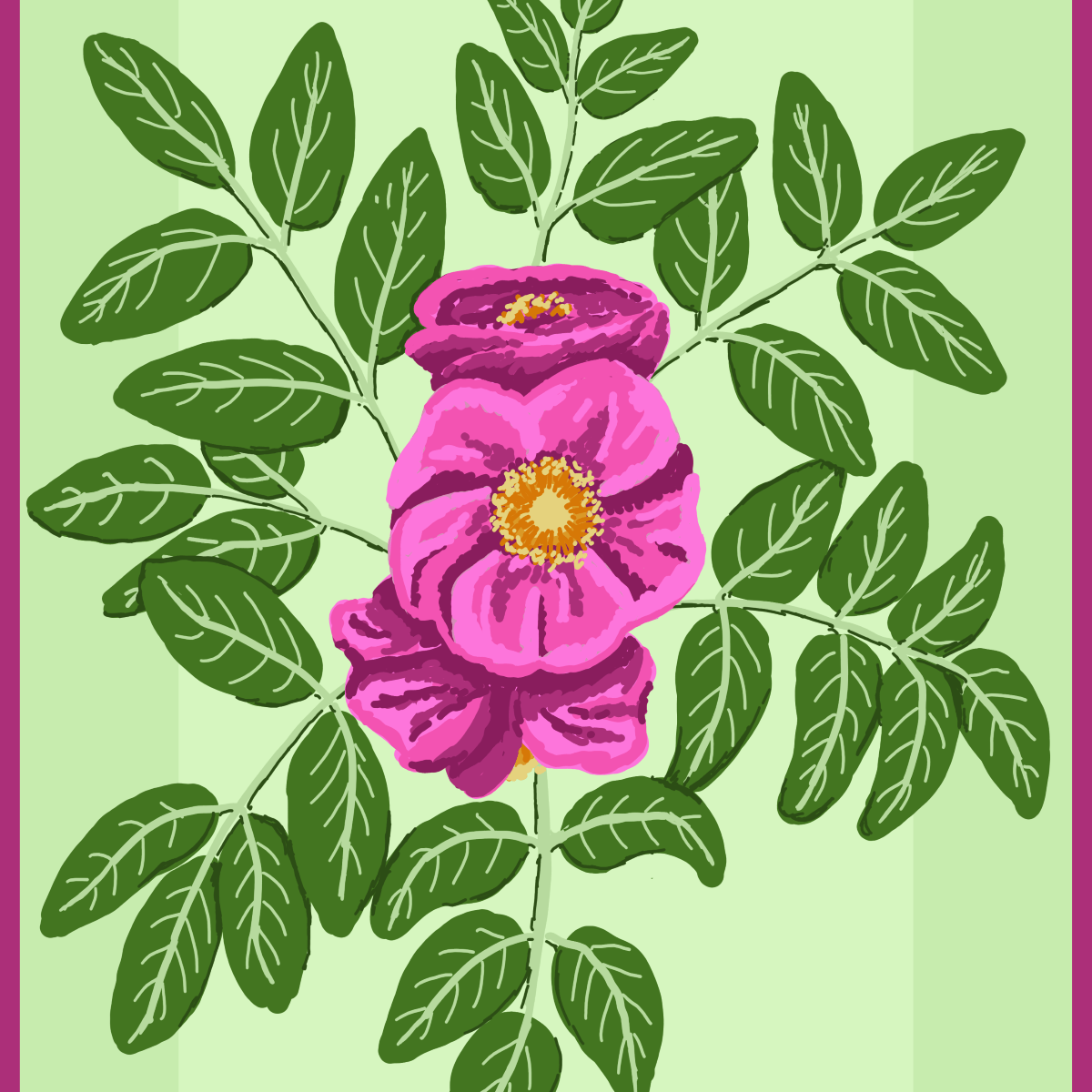Rugosa rose in the style of a tarot card