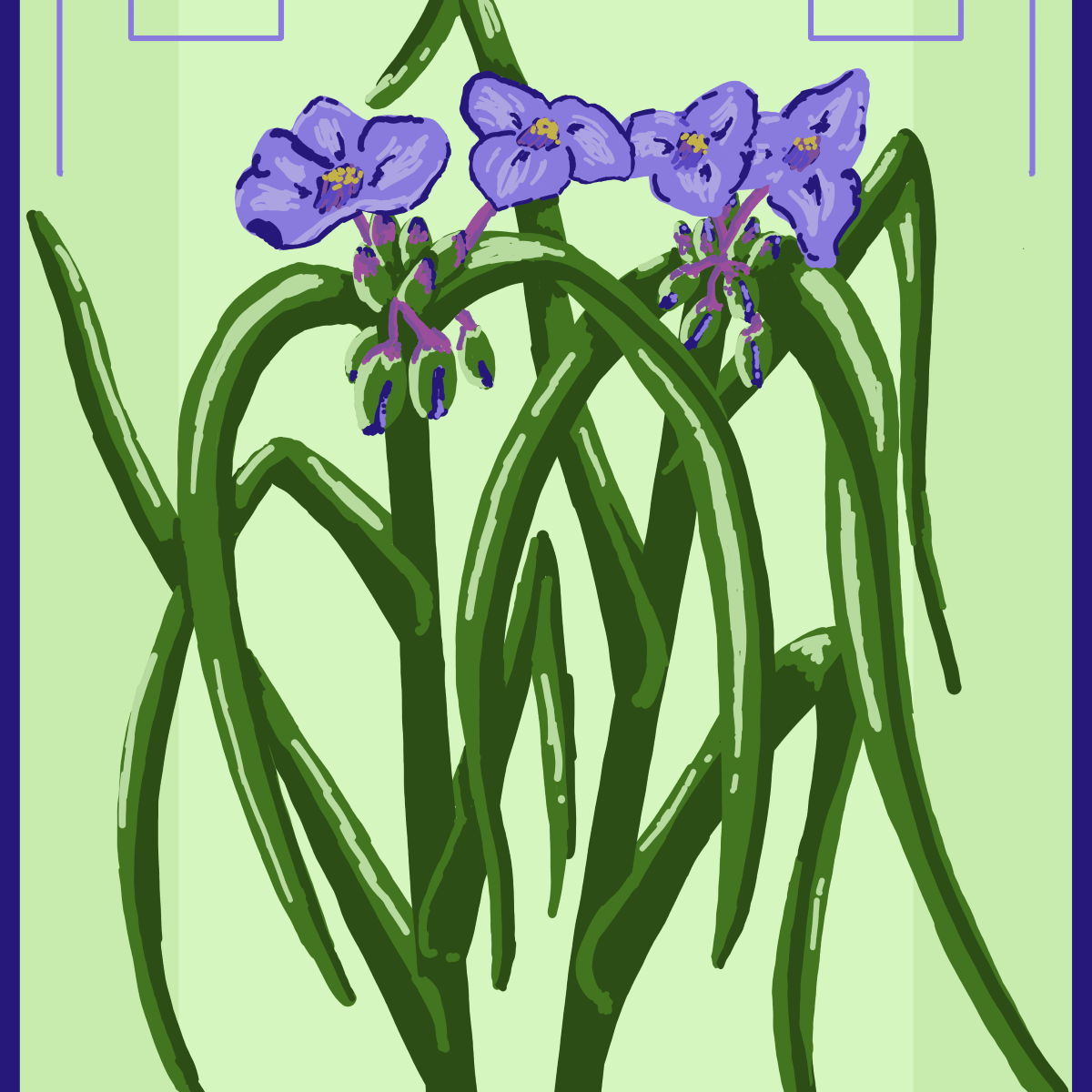 Spiderwort in the style of a tarot card